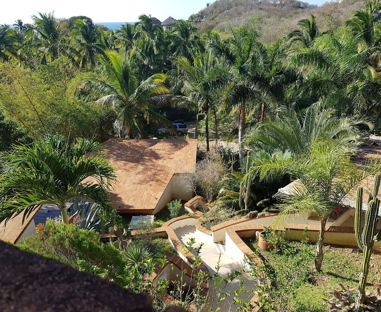 casa_flor_de_mar vista del interior de hotel casa flor de mar en Zipolite con áreas verdes, piscina y escaleras